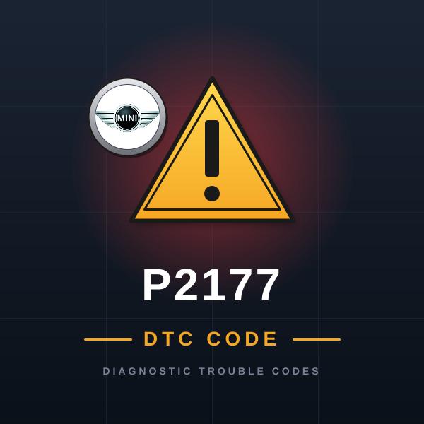 DTC P2177 Mini