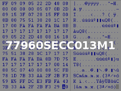 77960SECC013M1