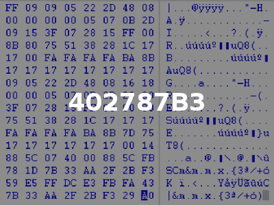 402787B3