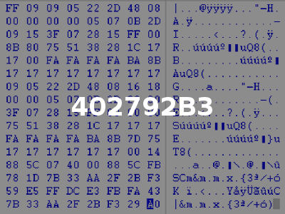 402792B3