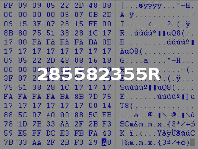 285582355R