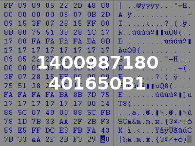 1400987180 401650B1