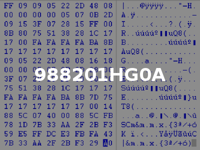 988201HG0A