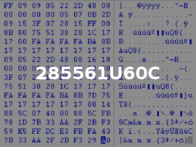 285561U60C