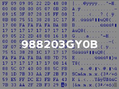 988203GY0B