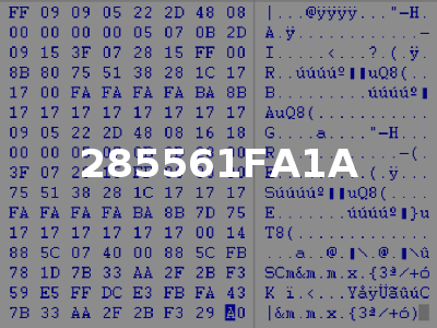285561FA1A