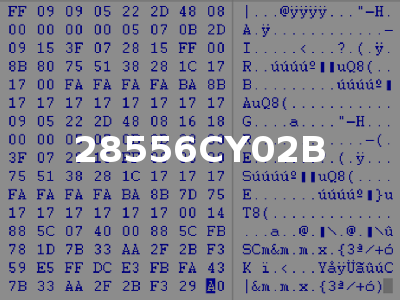 28556CY02B
