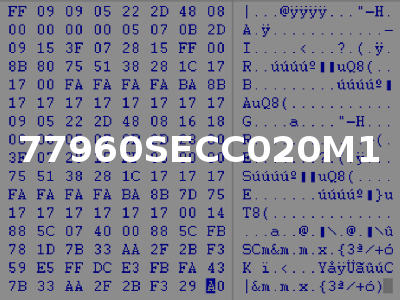 77960SECC020M1