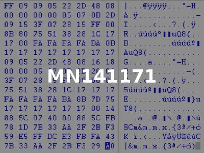 MN141171