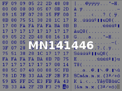 MN141446