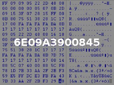 6E09A3900845