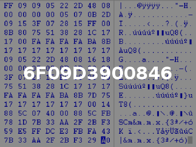 6F09D3900846