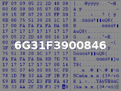 6G31F3900846