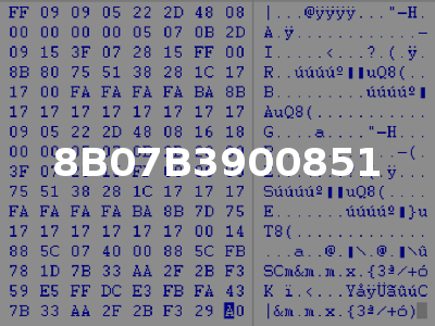 8B07B3900851