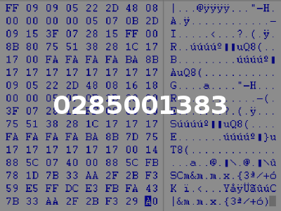 0285001383