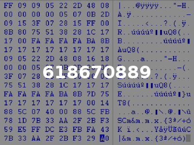 618670889