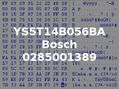 YS5T14B056BA Bosch 0285001389