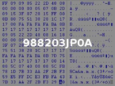 988203JP0A