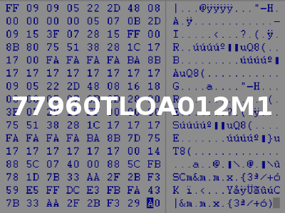 77960TLOA012M1