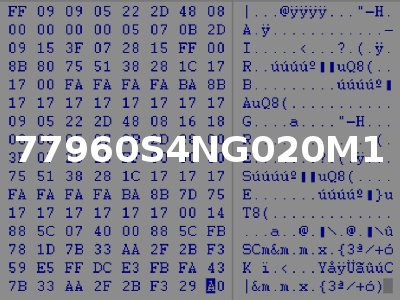 77960S4NG020M1