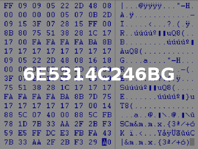 6E5314C246BG