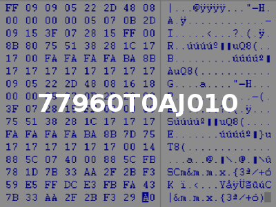 77960T0AJ010