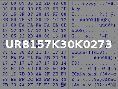 UR8157K30K0273