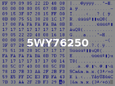 5WY76250