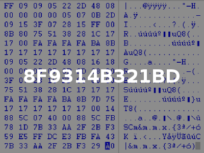 8F9314B321BD