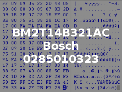 BM2T14B321AC Bosch 0285010323