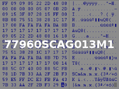 77960SCAG013M1