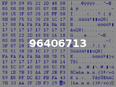 96406713