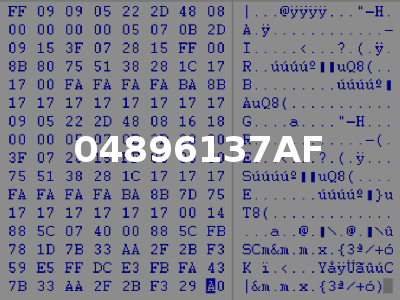04896137AF