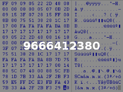9666412380