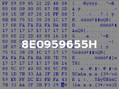8E0959655H