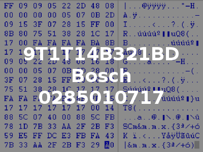 9T1T14B321BD Bosch 0285010717