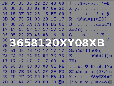 3658120XY08XB