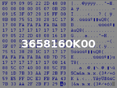 3658160K00
