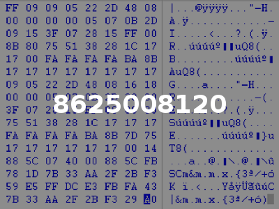 8625008120