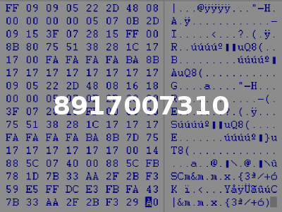 8917007310