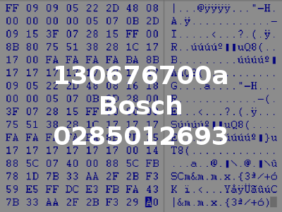 130676700a Bosch 0285012693