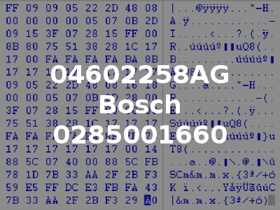 04602258AG Bosch 0285001660