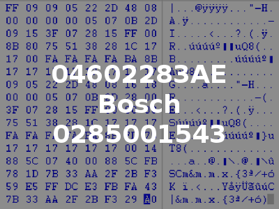 04602283AE Bosch 0285001543