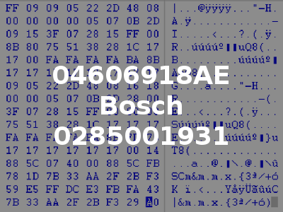 04606918AE Bosch 0285001931