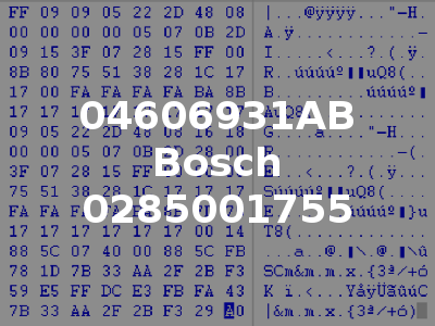 04606931AB Bosch 0285001755