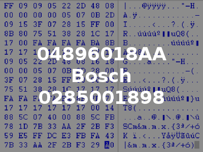 04896018AA Bosch 0285001898