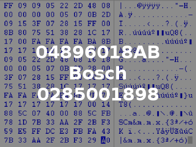 04896018AB Bosch 0285001898