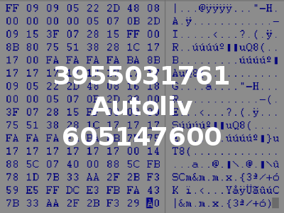 3955031761 Autoliv 605147600