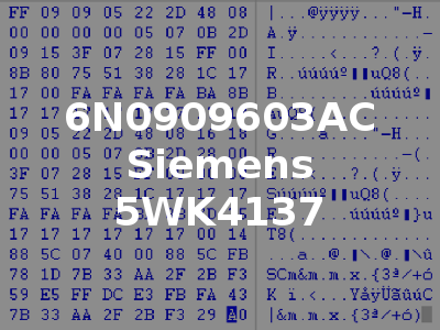 6N0909603AC Siemens 5WK4137