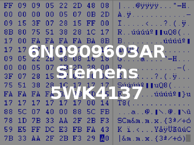 6N0909603AR Siemens 5WK4137